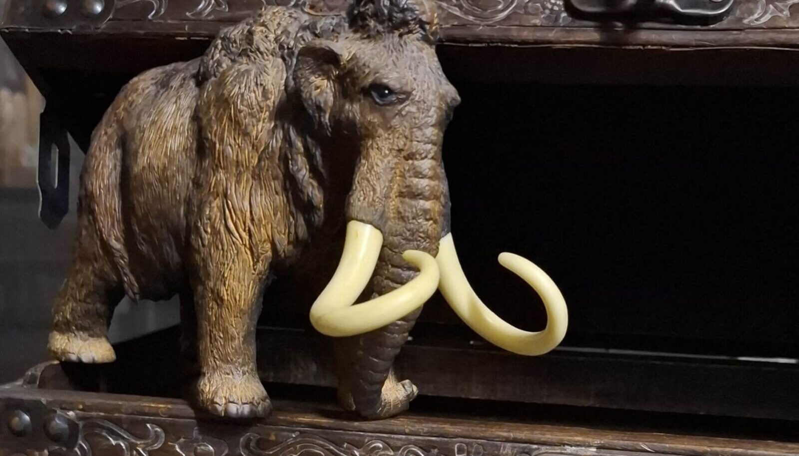 Izgubljeni mamut